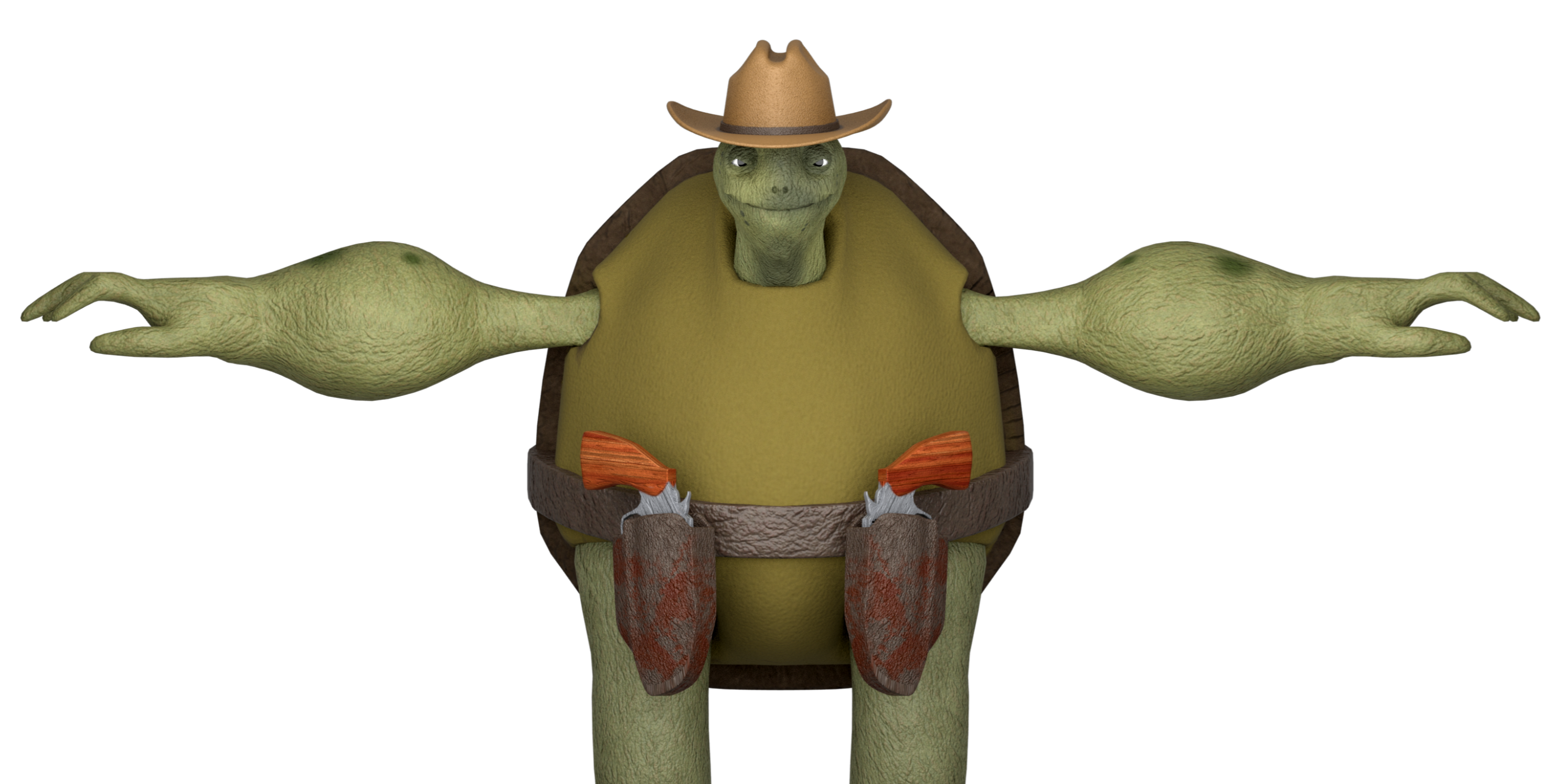 3D turtle model