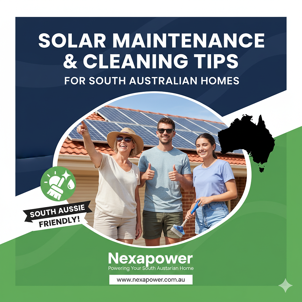 Solar Maintenance & Cleaning Tips for South Australian Homes – Nexapower best solar company in south australia