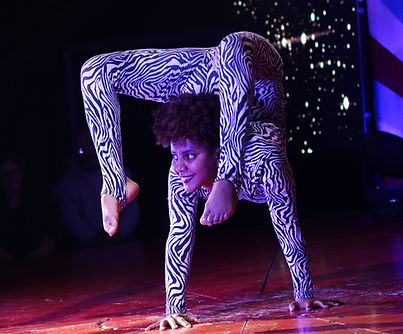 Cirque Du Web Big Top (6)_edited.jpg