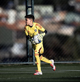 ARTHUR GONCALVES
