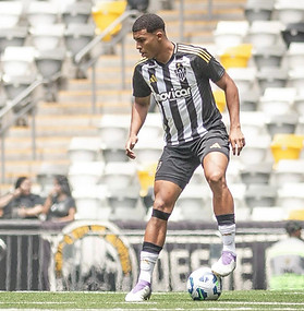 pedro xavier