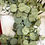 Thumbnail: Eucalyptus & Foliage Wreath