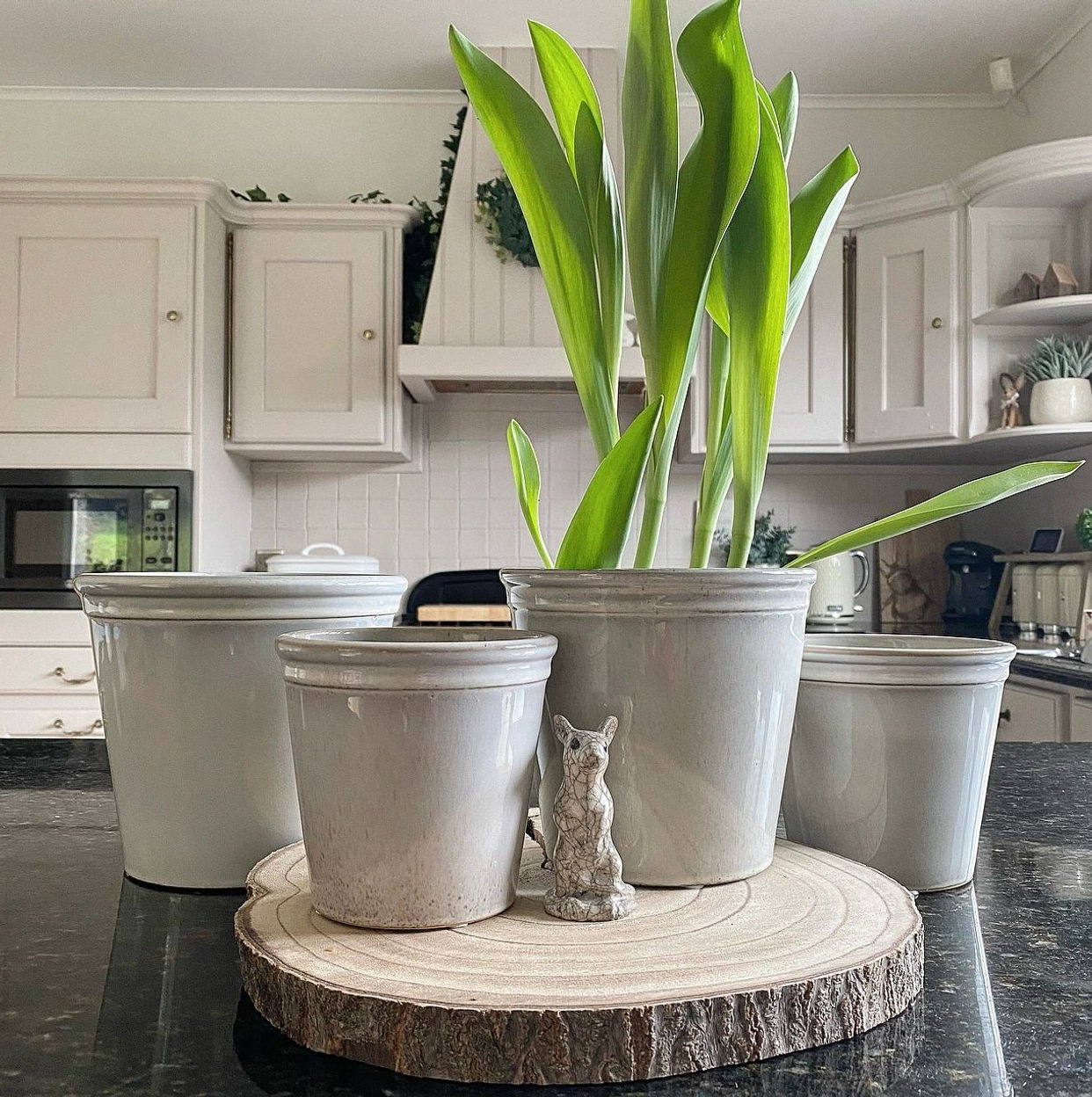 Speckled Ceramic Pots | 4 sizes