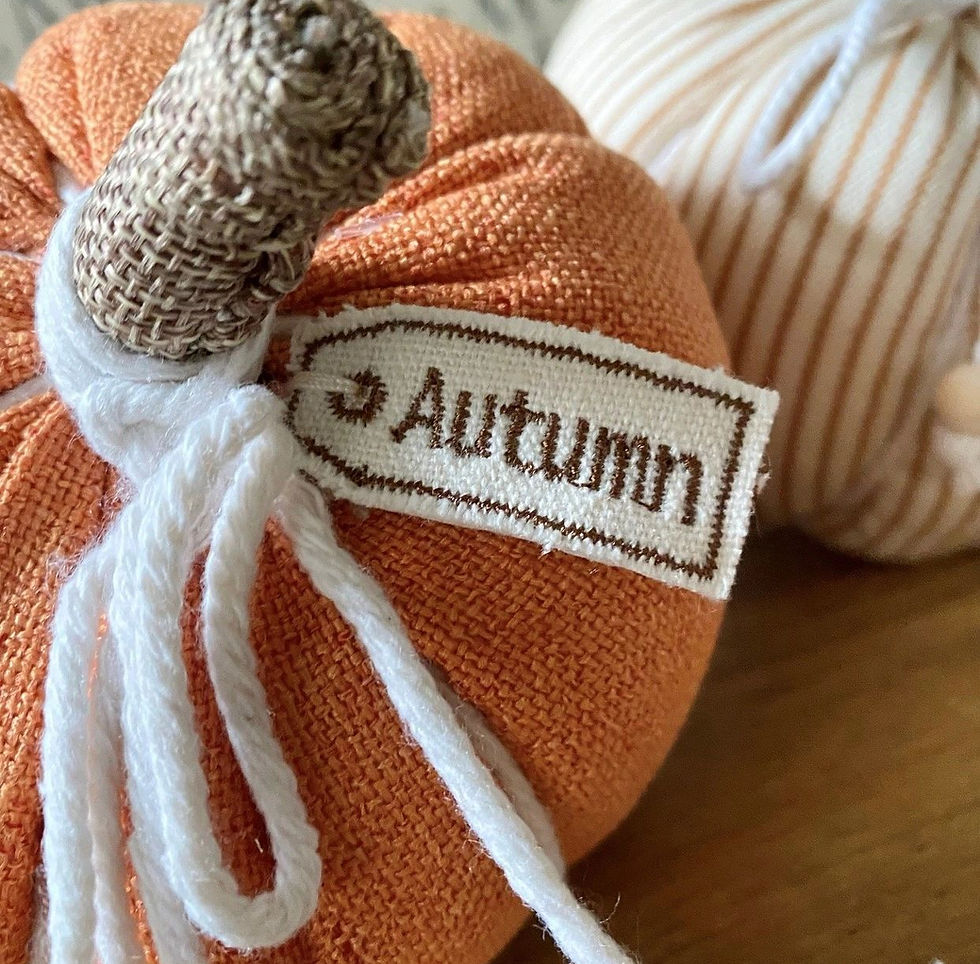 Thumbnail: Fabric Pumpkins | 2 styles