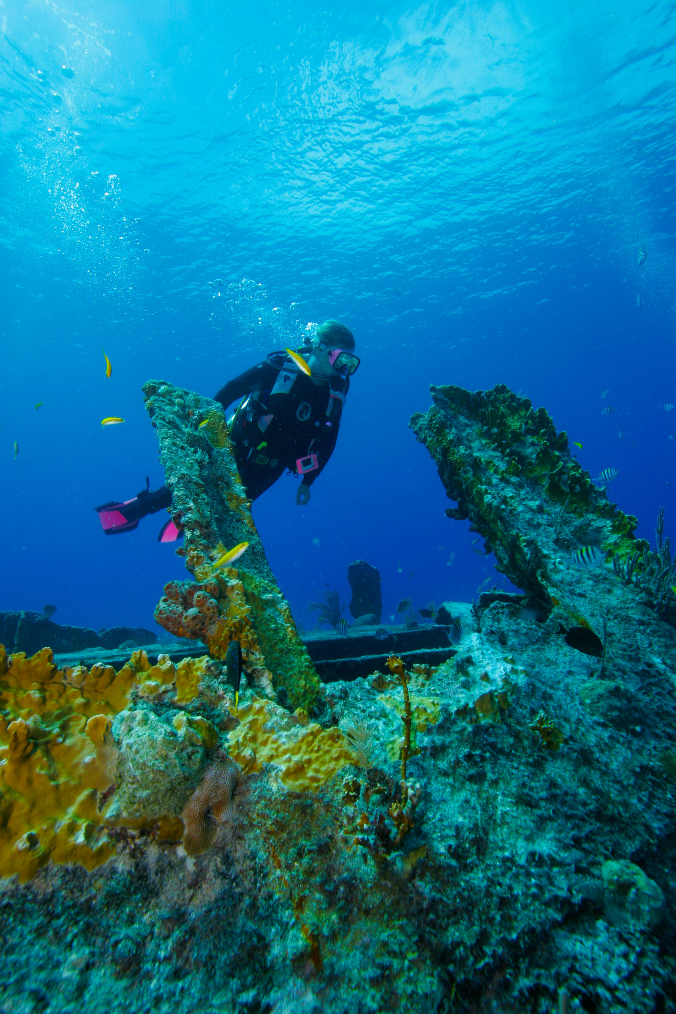 PADI Advanced Open Water Certification