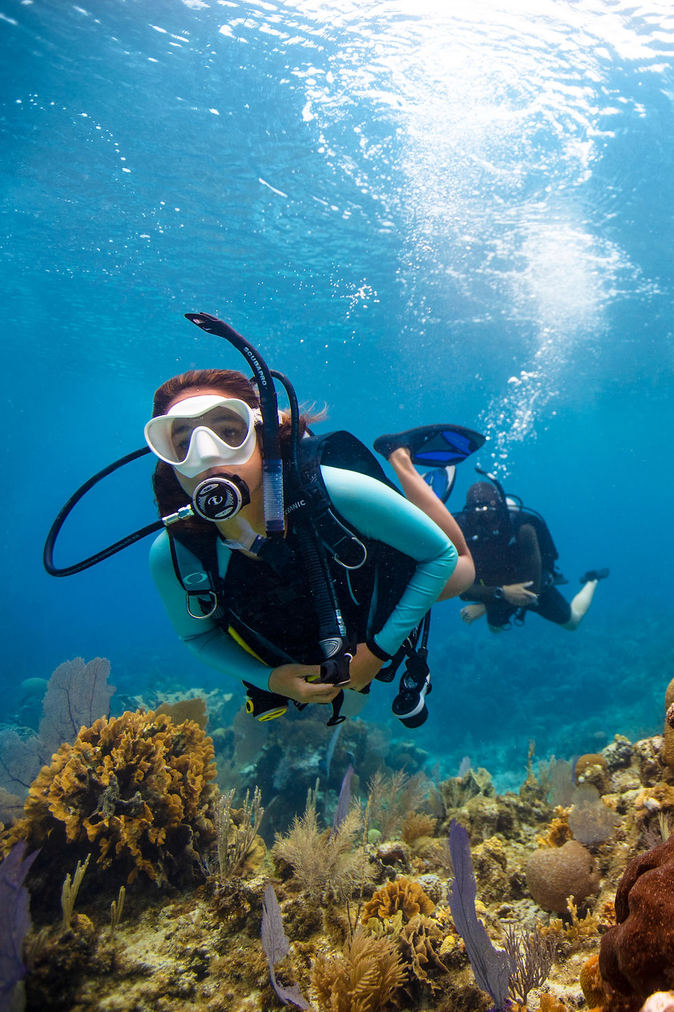 Two scuba divers underwater practicing skills during their PADI ReActivate Scuba Certification class with Mermaid Divers.