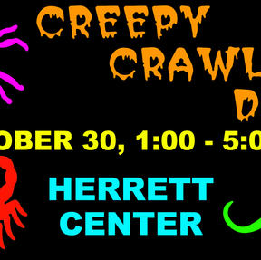 Creepy Crawly Day