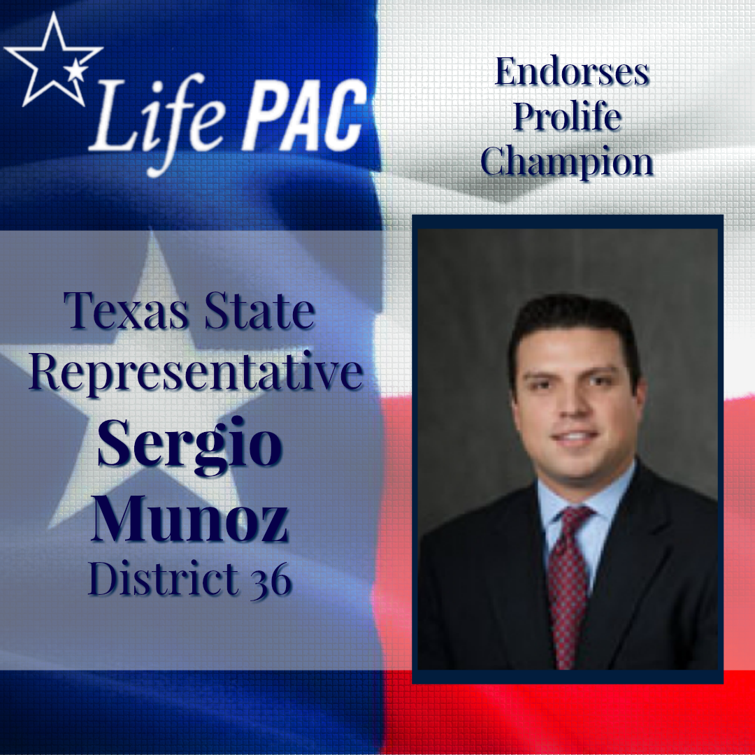 Sergio Munoz HD 36