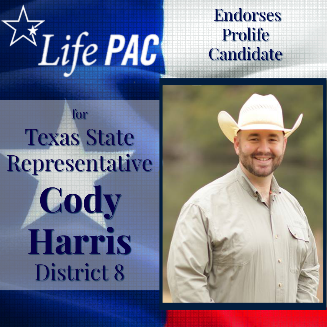 Cody Harri HD 8