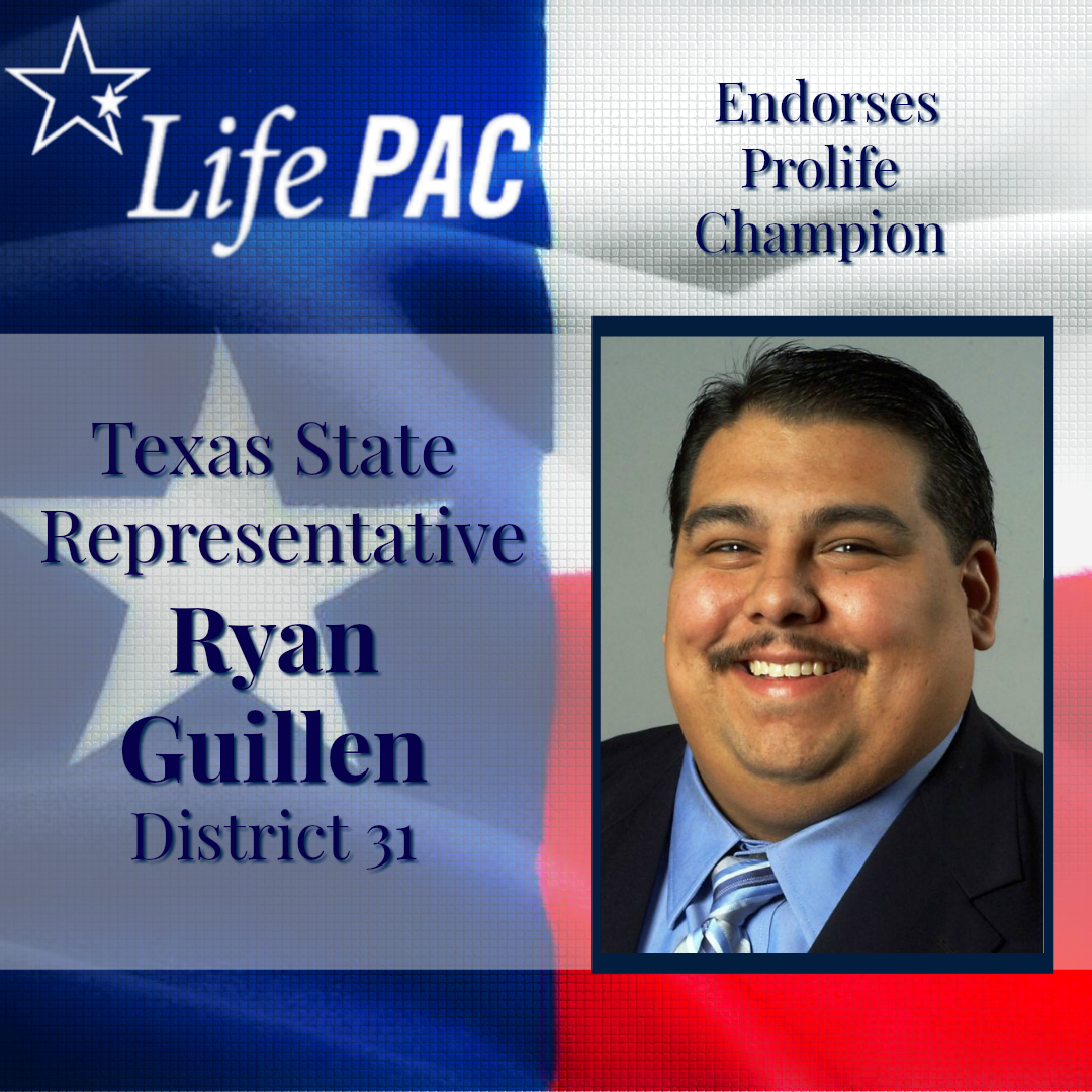 Ryan Guillen HD 31