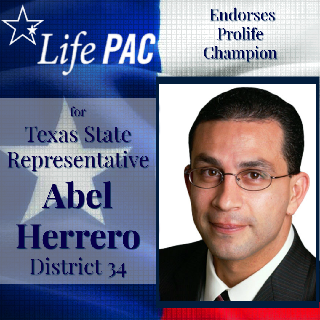 Abel Herrero HD 34
