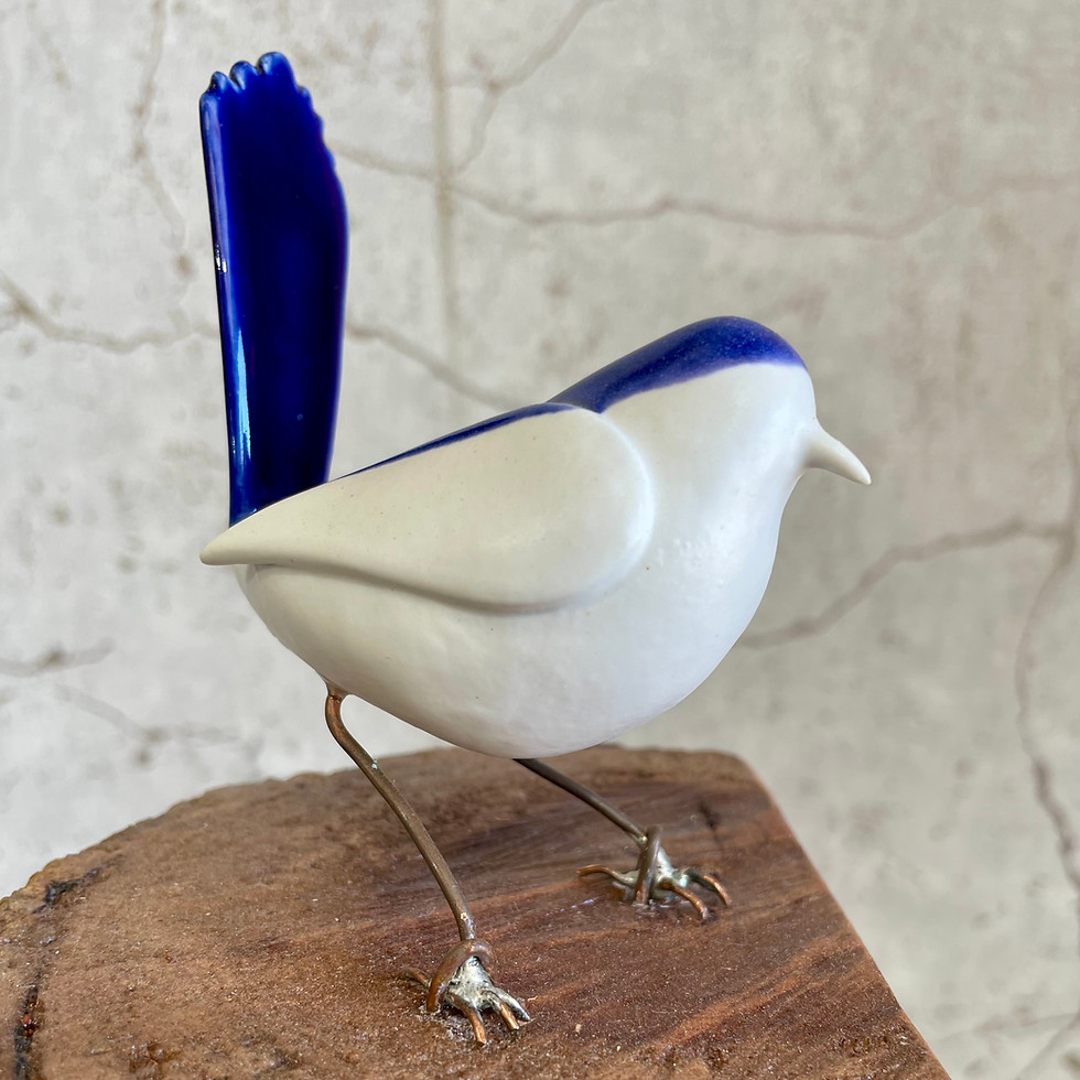 Thumbnail: "Fairy Wren"