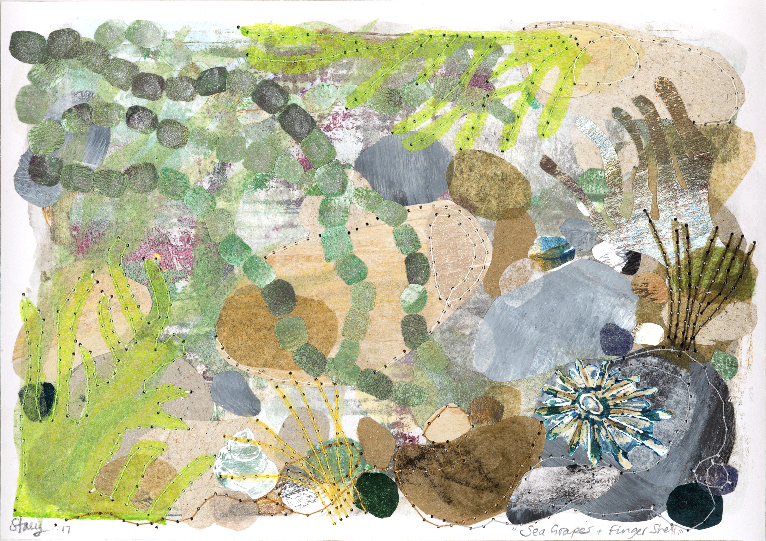 Sea Grapes & finger shell