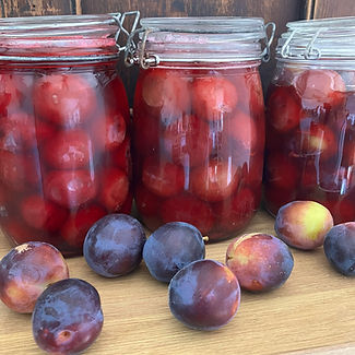2.fermented plums.jpg