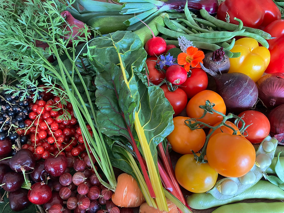 Good food for all