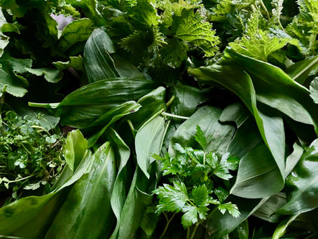Boost your health with green leafy vegetables