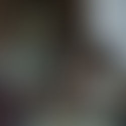 Beer's Place in the World