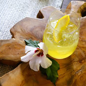 Jackie Zykan Maître Liquoriste + Perfumer + Herbalist