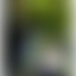 Meme Sweets Runyon's Legacy Celebration