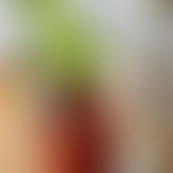 Jakie Zykan Cocktails: March 2025