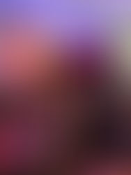 Balls & Galas Guide 2026