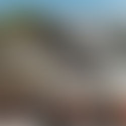 ROARCHESTRA RETURNS TO LOUISVILLE ZOO AFTER 15 YEARS