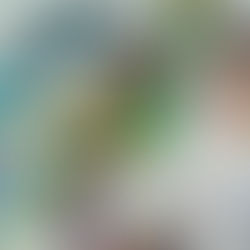 Simple Twist of Fate: Rebecca Norton talks art, education, and community