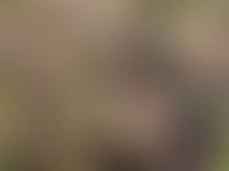 パーソナルマンスナンバー4の月は「定着」させたい事を意識してみる