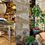 Miniature : Panneau décoratif sculpté