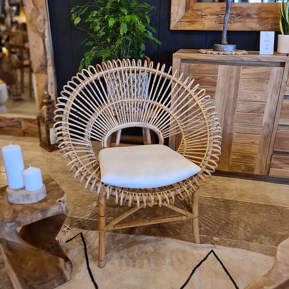 fauteuil en rotin pour salon