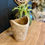 Miniature : pot en bois de manguier