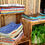 Miniature : couleurs de coussin en soie de cactus