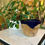 Miniature : plat en bois et resine