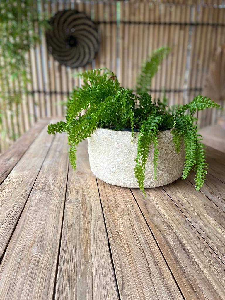 Plat PAPERBOWL en papier mâché
