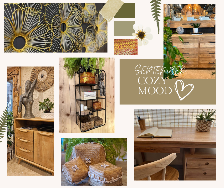 mood board mobilier er