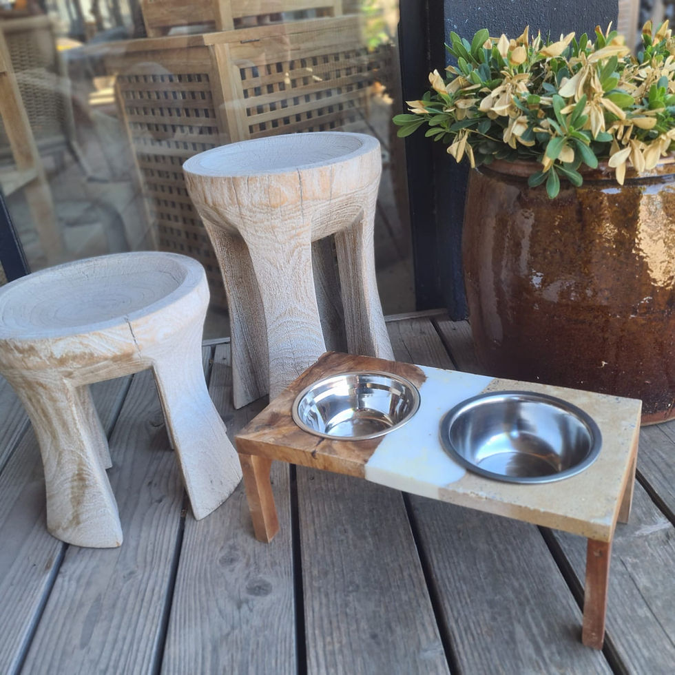 gamelle pour animaux en bois