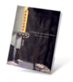 3d book isolated-small.png
