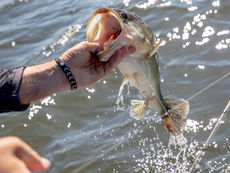 Report says "forever chemicals" make SC's rivers the most polluted in the country