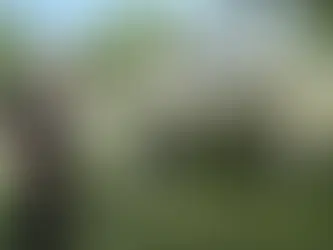 A Champion of Greenville is Dead