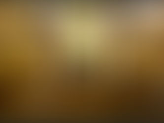 Preparing to appear before a Family Court Judge