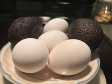 Egg Alternatives