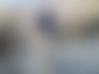 SC Governor Updates on Wildfires