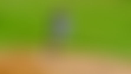 Final Score Bowling Green 8 Vs Greenville Drive 3