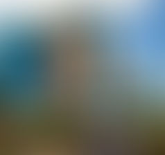 Spartanburg Regional Hospitals Limit Visits