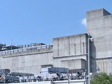 A radioactive wasp nest was discovered at Aiken, SC, on a defunct nuclear plant