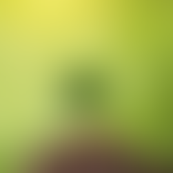 Sustentabilidade: tendência ou necessidade na engenharia?