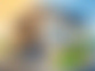 Kozijnen vervangen voor meer comfort en rendement
