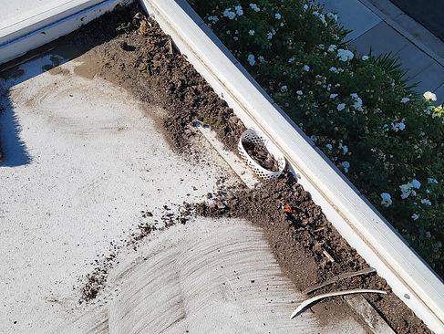 Gutter Cleaning Sunshine Windows