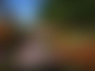 Dan's Nook Wildlife Garden - an inviting oasis!