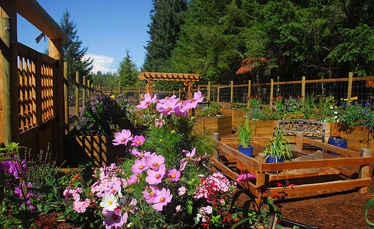 Wildlife-Garden2.jpg